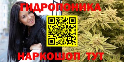 молекула духа Кулебаки