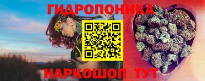 молекула духа Кулебаки