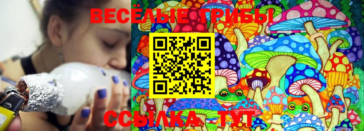 Славгород  Галлюциногенные грибы прущие грибы  Вход с VPN 